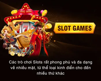 Chương trình VIP GA77